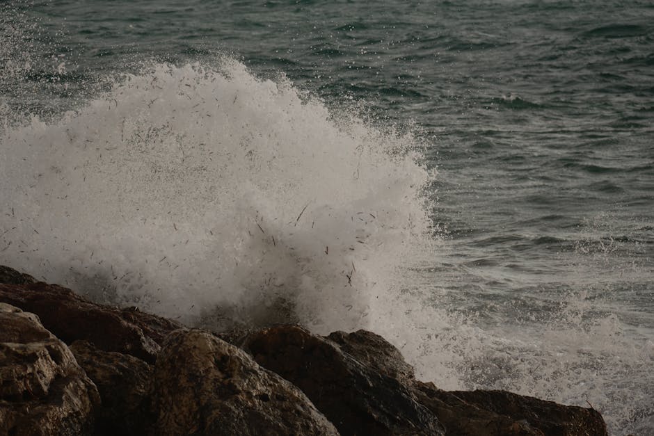 P-Force必力吉產品包裝特寫