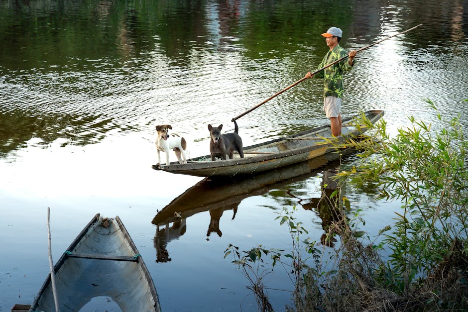 A man with two dogs on a canoe floating on a calm lake surrounded by nature.